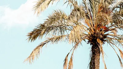 Spring Cleaning - Climatech: Best AC Contractor in Pensacola
