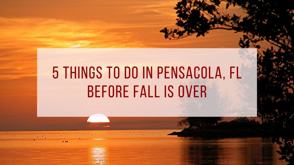 5 Things to Do In Pensacola, FL Before Fall Is Over