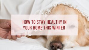 Stay Healthy In Your Home This Winter