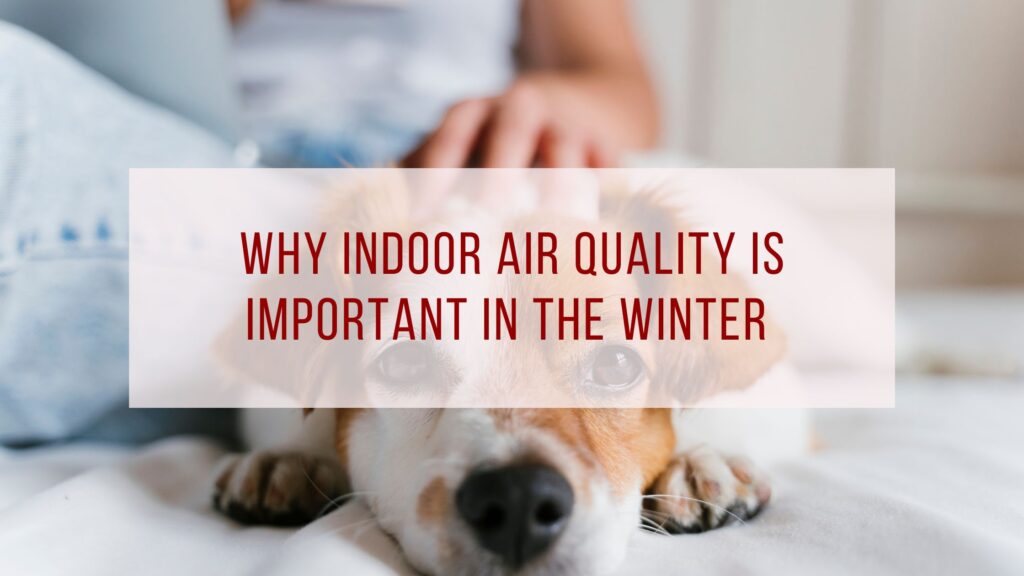 Indoor Air Quality Is Important In the Winter In Pensacola