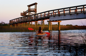 5 Fun Summer Activities In Pensacola, FL 
