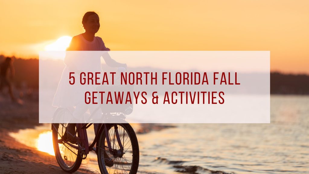 5 Great North Florida Fall Getaways & Activities