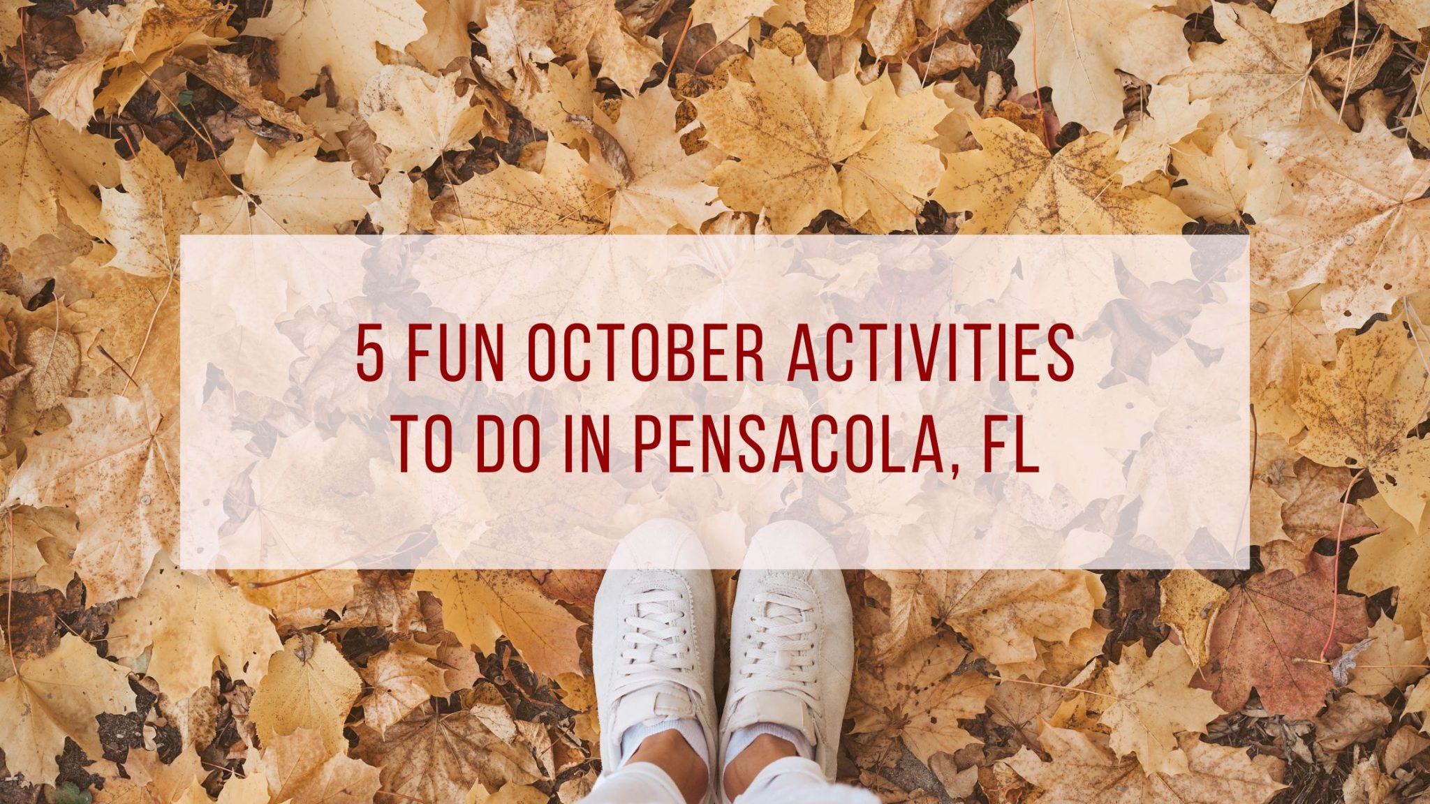 5 Fun October Activities to Do In Pensacola, FL this Fall!