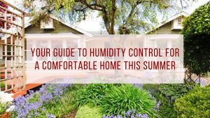 Your Guide to Humidity Control for A Comfortable Home This Summer