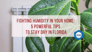 Fighting Humidity in Your Home: 5 Powerful Tips to Stay Dry in Florida