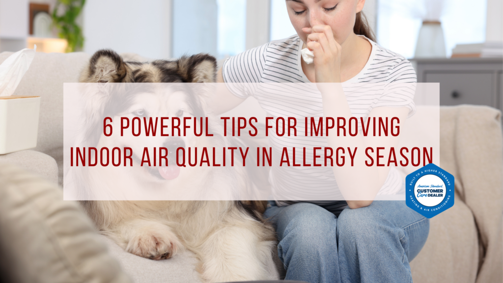 6 Powerful Tips for Improving Indoor Air Quality in Allergy Season