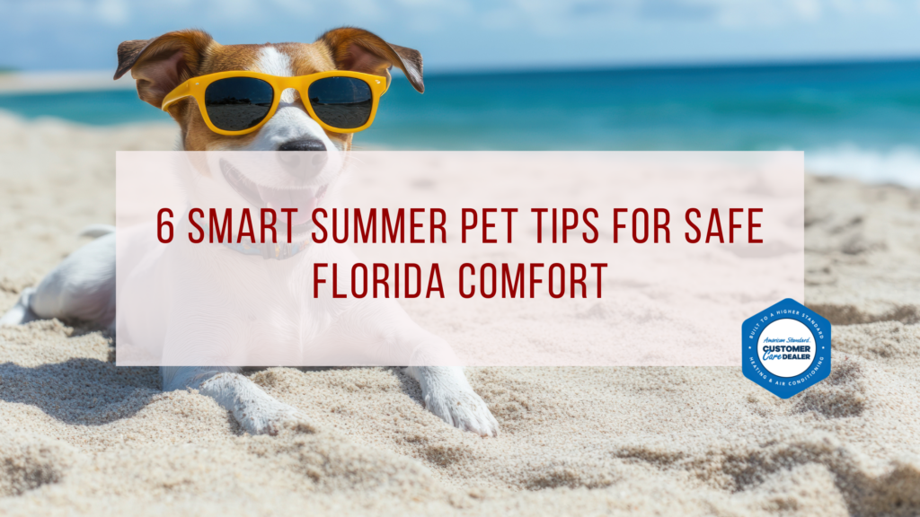 6 Smart Summer Pet Tips for Safe Florida Comfort