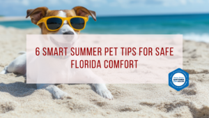 6 Smart Summer Pet Tips for Safe Florida Comfort